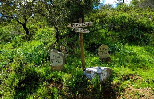 Monte do Alento - Castro da Cola - Foto 53