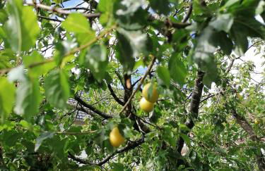 WÄLDER: Quartier Haus im Glück - Foto 21