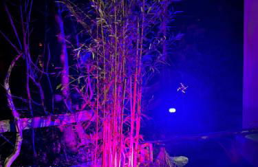 Pia's Nature Retreat - Foto 134