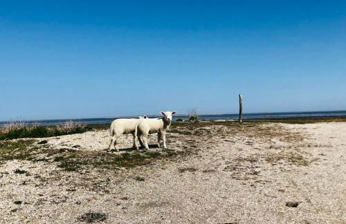 Familienhaus an der Nordsee - Sauna - Kamin - Südterrasse direkt über dem Wasser - Foto 24