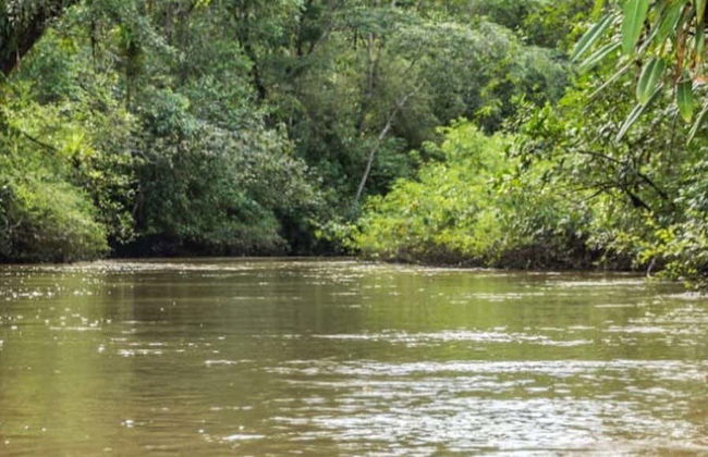 River Tundó Canoe Trip - Photo 1