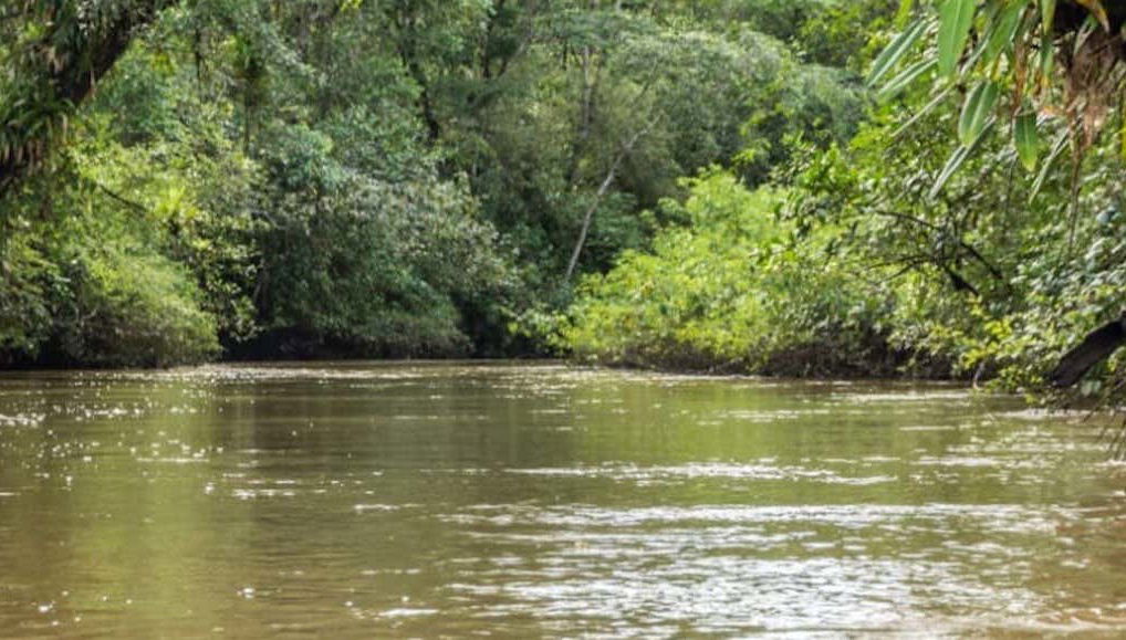 Paseo en canoa por el río Tundó