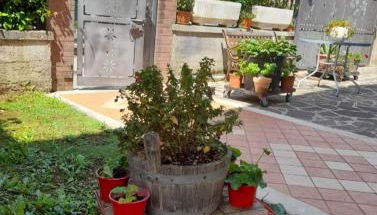 Casa Bannella - Foto 5, Garden