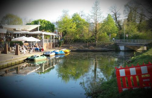 Erdgeschosswohnung im Stadtzentrum - Foto 22
