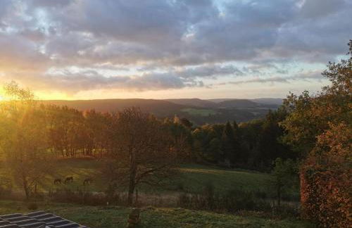 Natur und Wellness ''auf der Hardt'' -Jacuzzi- Sauna- Kinderausstattung- Alleinlage im Wald - Foto 49