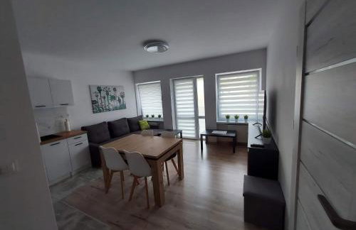 Apartament River Skierniewice - Foto 11