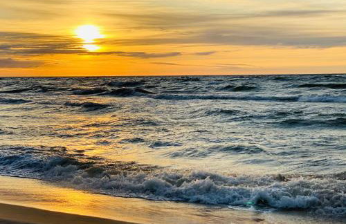 Siedlisko Wytowno - Foto 42