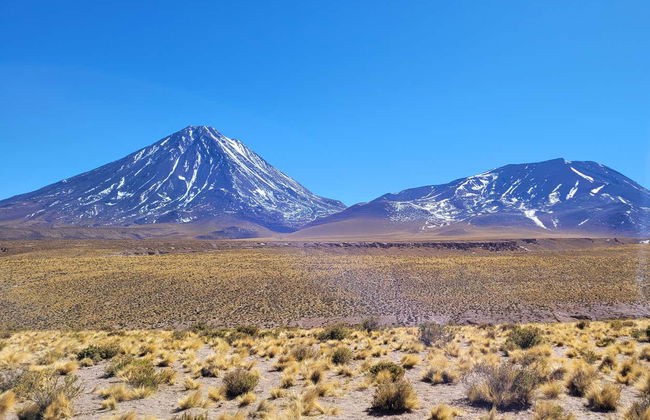 Atacama Salt Flats Tour - Photo 2