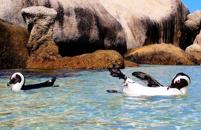 Hout Bay Beach Cottage - Photo 40