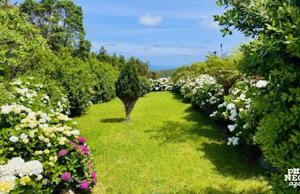 Casa da Serreta by PontaNegraAzores - Foto 18