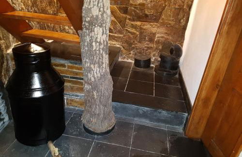 Casa da Arvore - Paradinha - Foto 13