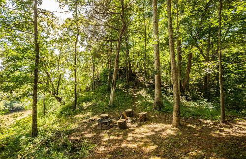 Family-Friendly Cabin Rental with River Views near Knoxville - Foto 15