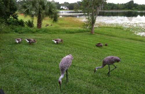 Lakefront Home Where You Can Retreat and Relax - Foto 34