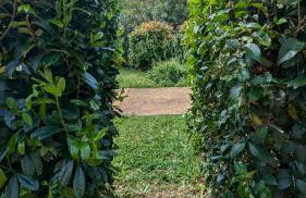 Joli rez de jardin piscine - Foto 23