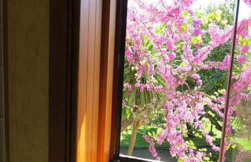 Casa Dos Tinocos - Foto 41