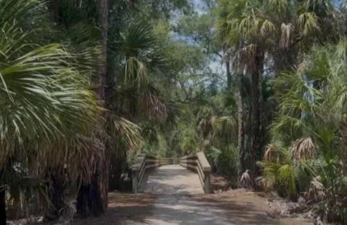 Babcock National Coach Crisp, Elegant and Serene - Foto 52