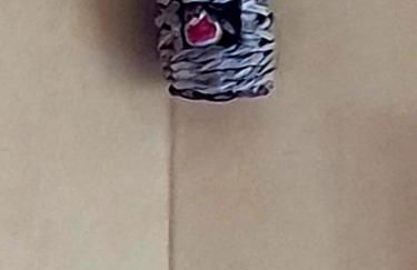 paysmillereves - Foto 14