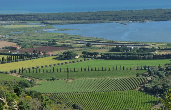 Agriturismo Fattoria Il Casalone - Foto 45