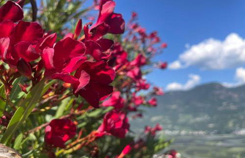 FeWo Passo-Palade - Foto 36