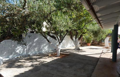 Ninemia Country House - Foto 6