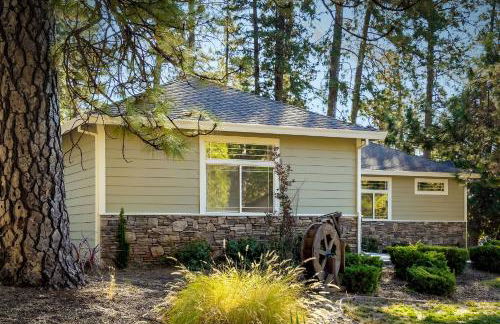 Cozy foothills home - Photo 3