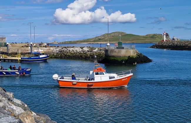 Boat Trip around Howth and Ireland's Eye - Photo 1