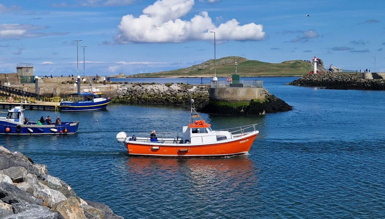 Boat Trip around Howth and Ireland's Eye - Foto 1