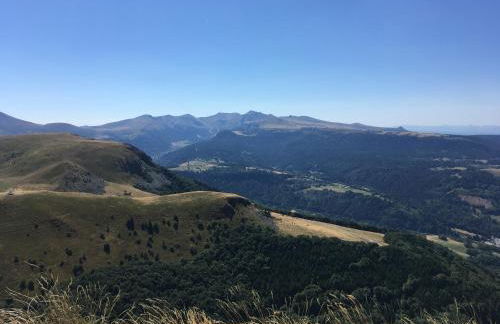 Perce-neige - Foto 18