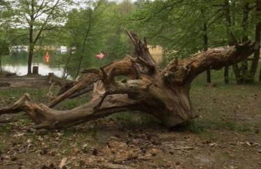 Ferienappartements am See - Foto 7