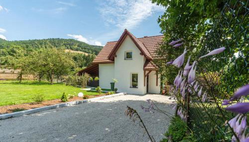 Domek Maja-domek z jacuzzi i kominkiem - Foto 1