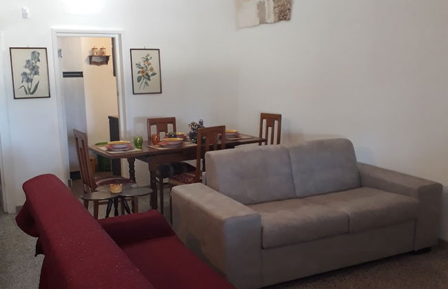 Tenuta Argiano - Foto 19