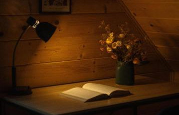 Leśna 21 Dom Północ przy PUSZCZA BIAŁOWIESKA - Foto 18