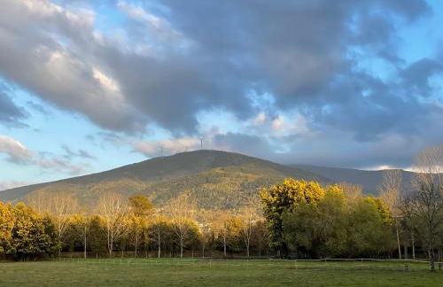 Quinta do Areal - Foto 35