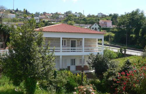 Maria João - Foto 1