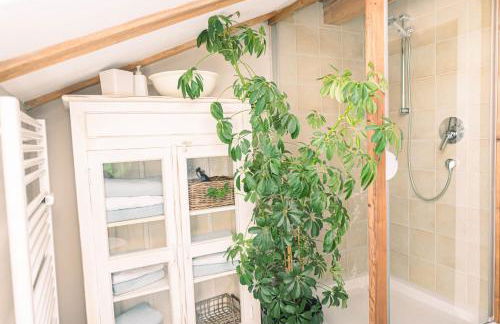 Gipfelkönig - Foto 29