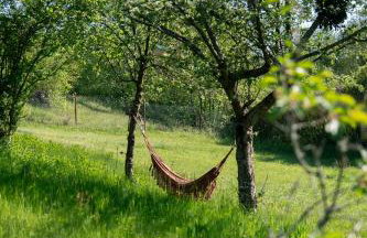 Stara Rzeka 2 - Photo 9