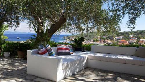 Bougainvillea - Foto 4