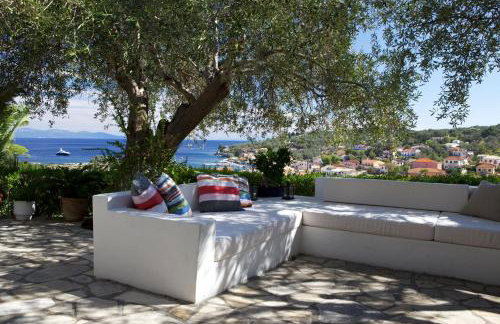 Bougainvillea - Foto 4