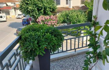 Angel's Luxury Studio - Photo 13