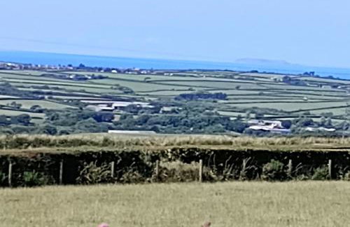 Fentrigan Manor Farm & Holiday Cottages - Foto 77