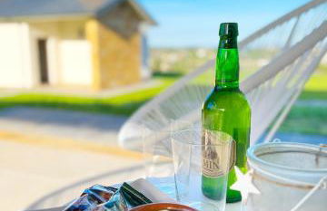 El Pueblín del Pinar - Foto 13