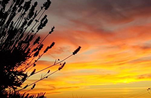 Legado De Zabala, Casa Rural - Photo 51