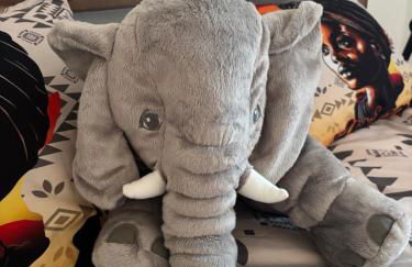 Henneberger Hof Wildlife - Foto 11