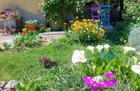 Mare Colline Città d'Arte - Foto 33