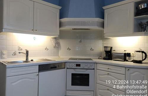 exklusives lichtdurchflutetes Apartment incl Gästegarten umzäunt - Foto 8