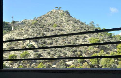 Flamenco I - Photo 17