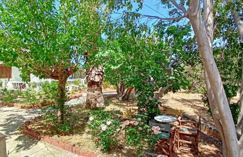 Sunrise Apartments - Foto 31