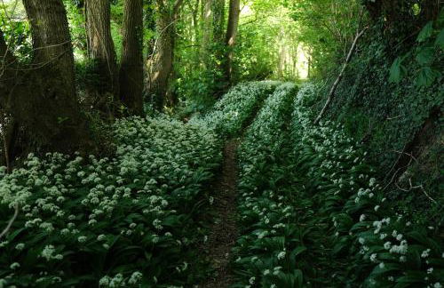 Ty Farm Retreat - Farmhouse Studio - Mountain View - Foto 37