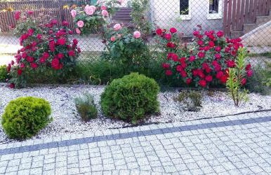 Apartament Nadmorski - Foto 24