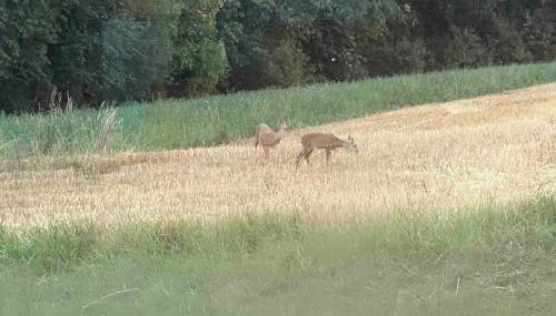 Zeitlberg Panoramawohnung mit PRIVAT SPA - Foto 5